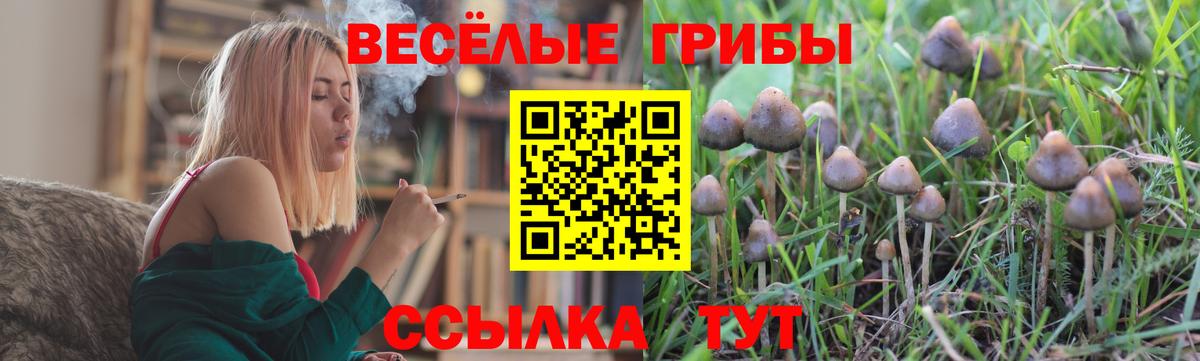 Баксан  Псилоцибиновые грибы мухоморы  Вход с VPN  Псилоцибиновые грибы GOLDEN TEACHER 